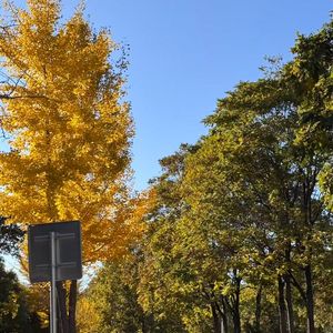 轻松深夜纯音乐