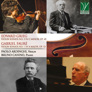 Violin Sonata No. 1 in A Major, Op. 13:I. Allegro molto