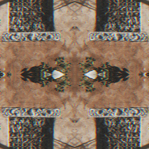 Shade Delet Begardom