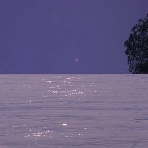 亭亭如有知心庭