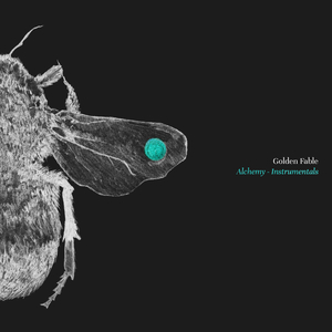 Tripwires (Instrumental)