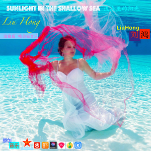 Sunlight in the shallow sea 浅海里的阳光