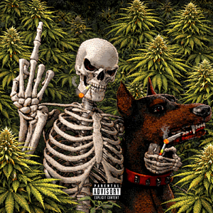 PRA QUE ANDAR COM UM PINSCHER SE EU MEREÇO UM DOBERMAN