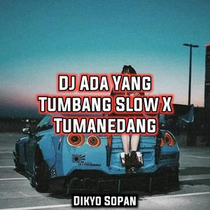 Dj Ada Yang Tumbang Slow X Tumanedang