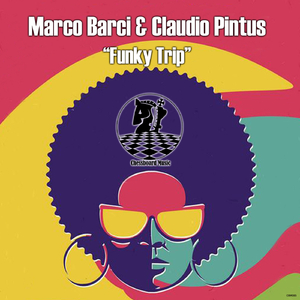 Funky Trip (Original Mix)