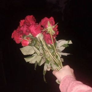 殇心回忆录 -byJeston