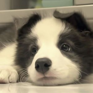 没说出口的夏天