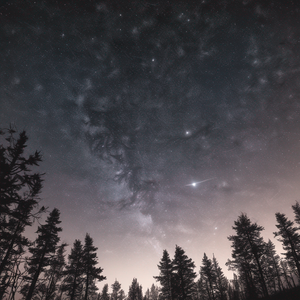 In der Dunkelheit verloren