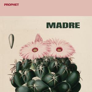 Madre