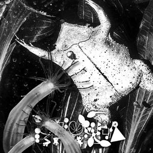 Animal Acts And Other Attractions (Faeces Eruption)