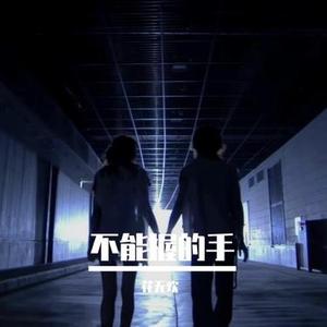 不能握的手