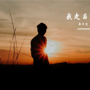 我走后