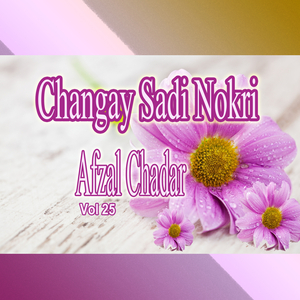 Changay Sadi Nokri