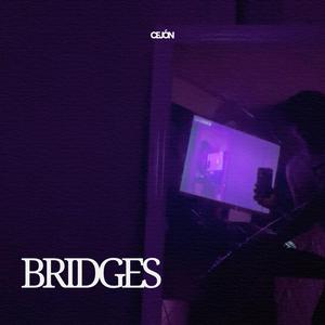BRIDGES
