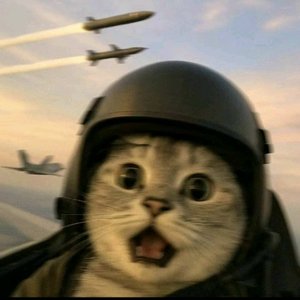 世界溃成荒岛，也要拥抱最后一秒