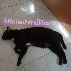 ไม่รู้สึกอย่าทำงี้ได้ปะ