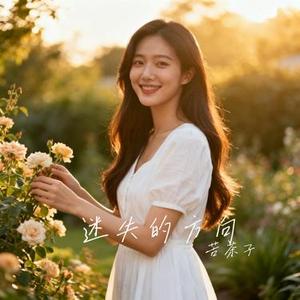 迷失的方向