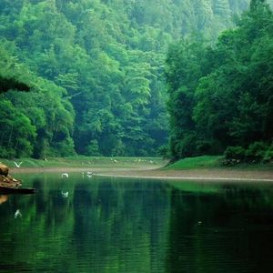 八块田村之歌（伴奏）