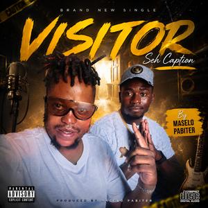 Visitor