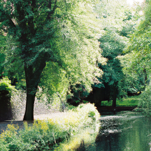 Arboretum