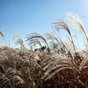 꿈같던 우리 (Feat. 홍예진)