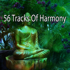 Soaring High With Hope