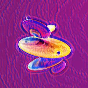 Wandering Soul Journey