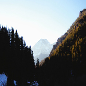 Pagan Forest (Remastered 2021)