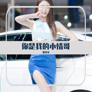 你是我的小情哥