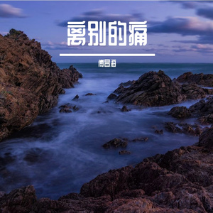离别的痛 (7)