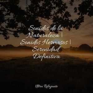 Horizontes Infinitos