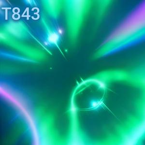 T843