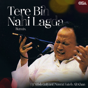 Tere Bin Nahi Lagda (Remix)