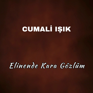 Elinende Kara Gözlüm
