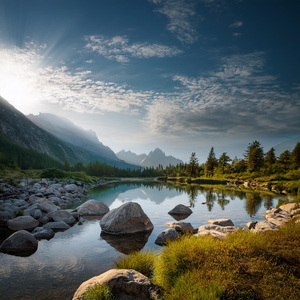 Soft Harmony Eases Stress