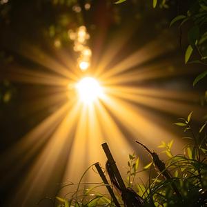 Niibin 'It Is Summer'