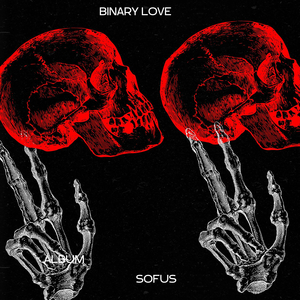 Binary Love