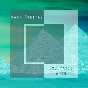 Exultatio Anim (Alexander Cimander Remix)