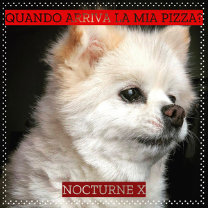 Quando arriva la mia pizza?