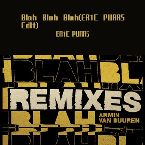 Armin van Buuren-Blah Blah Blah(ER1C PURR5 Edit)（ER1C PURR5 remix）