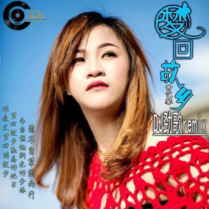 梦回故乡DJ版伴奏 (伴奏)
