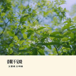 春天的温柔已长满枝头