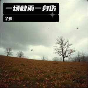 一场秋雨 一身伤