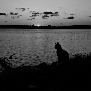 人不是突然变的