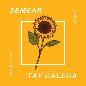 Semear