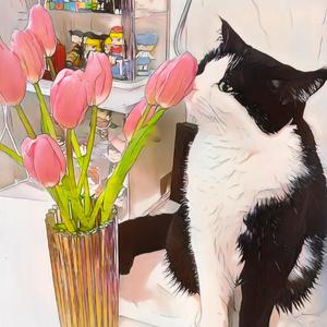 让我为你送朵花