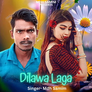 Dilawa Laga