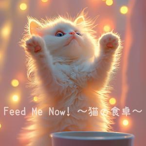 Feed Me Now! 〜猫の食卓〜