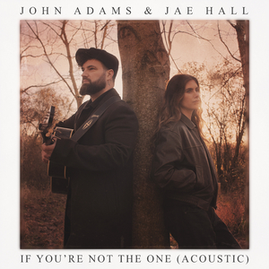 If You’re Not the One (Acoustic)