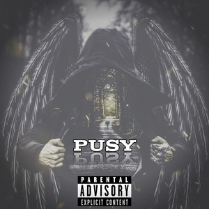 Pusy